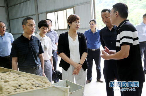 陳蓮調研工業(yè)穩(wěn)增長與新社區(qū)工廠發(fā)展工作